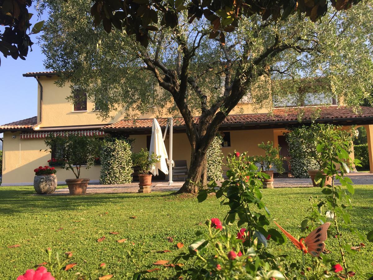 Le Tre Querce B&B Romano D'Ezzelino Ngoại thất bức ảnh